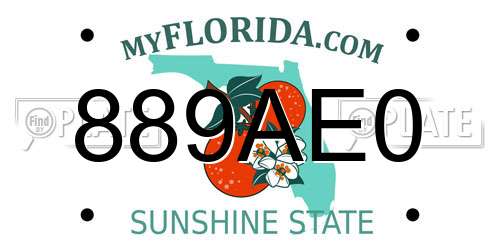 889AE0 Florida License Plate