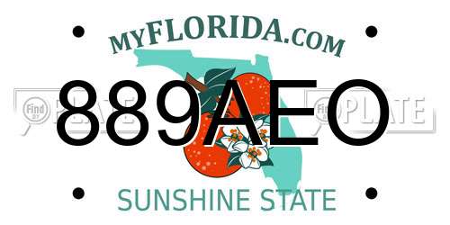 889AEO Florida License Plate
