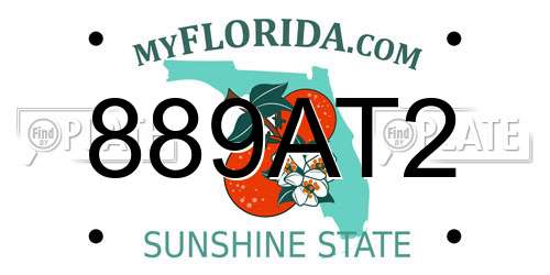 889AT2 Florida License Plate