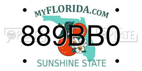 889BB0 Florida License Plate