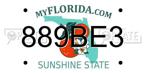 889BE3 Florida License Plate