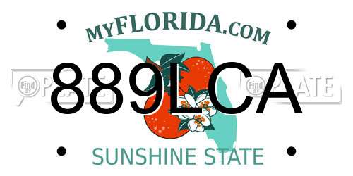 889LCA Florida License Plate