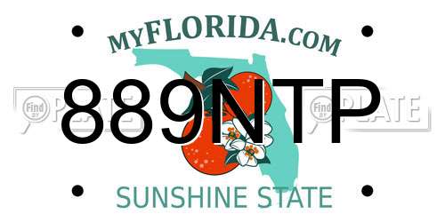889NTP Florida License Plate