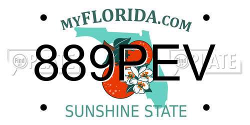 889PEV Florida License Plate