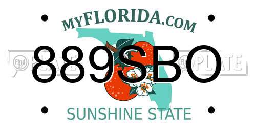 889SBO Florida License Plate