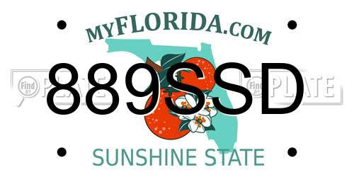 889SSD Florida License Plate