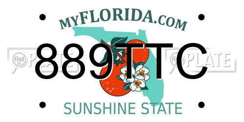 889TTC Florida License Plate