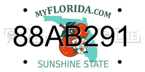 88AB291 Florida License Plate