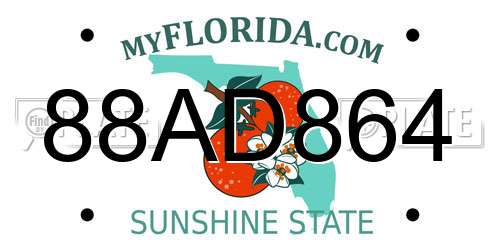 88AD864 Florida License Plate