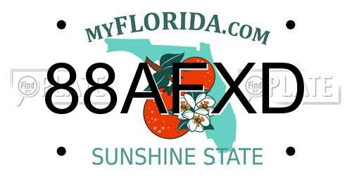 88AFXD Florida License Plate