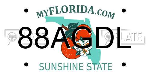 88AGDL Florida License Plate