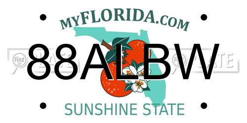 88ALBW Florida License Plate