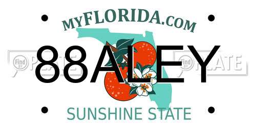 88ALEY Florida License Plate