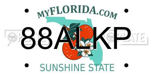 88ALKP Florida License Plate