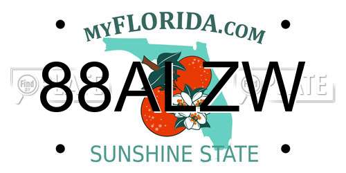 88ALZW Florida License Plate