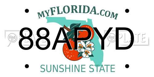 88APYD Florida License Plate