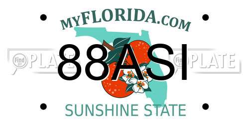 88ASI Florida License Plate