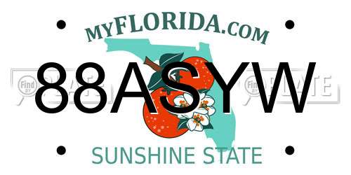 88ASYW Florida License Plate
