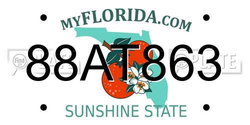 88AT863 Florida License Plate