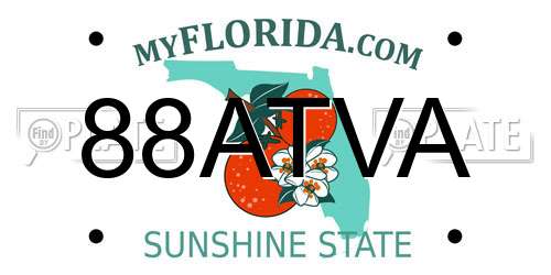 88ATVA license plate in FL state