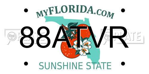 88ATVR Florida License Plate