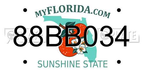88BB034 Florida License Plate