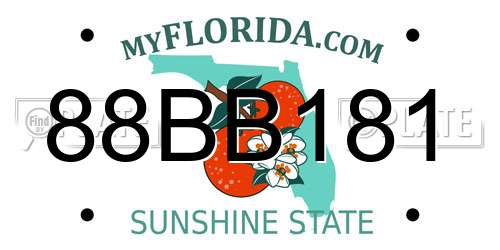 88BB181 Florida License Plate