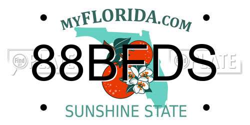 88BFDS Florida License Plate