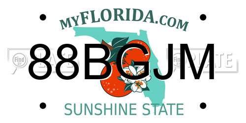 88BGJM Florida License Plate
