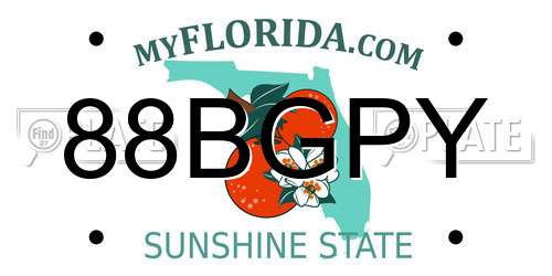 88BGPY Florida License Plate