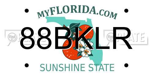 88BKLR Florida License Plate