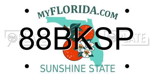 88BKSP Florida License Plate