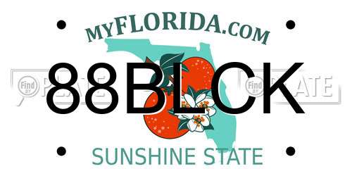 88BLCK Florida License Plate