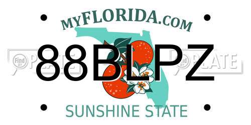 88BLPZ Florida License Plate