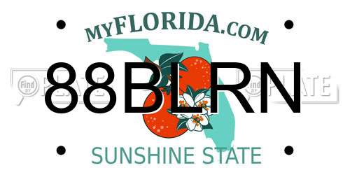 88BLRN Florida License Plate