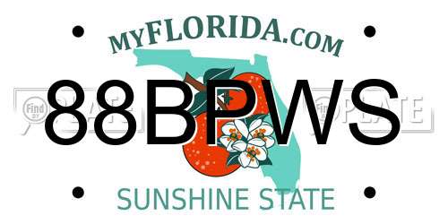 88BPWS Florida License Plate