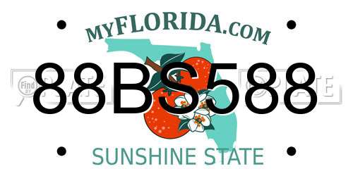88BS588 Florida License Plate