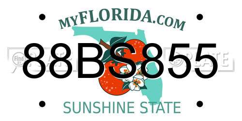 88BS855 Florida License Plate