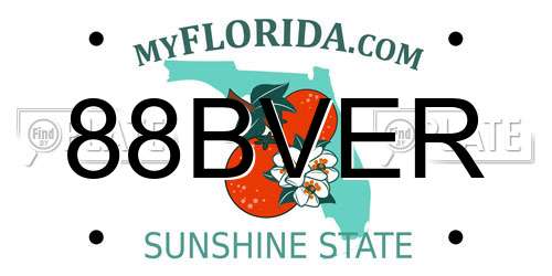 88BVER Florida License Plate