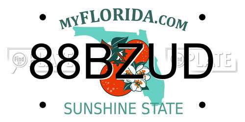 88BZUD Florida License Plate
