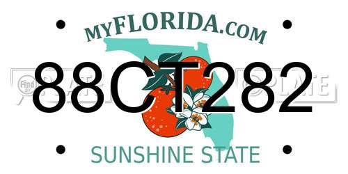 88CT282 Florida License Plate
