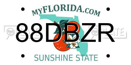 88DBZR Florida License Plate