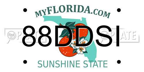 88DDSI Florida License Plate