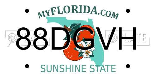 88DGVH Florida License Plate