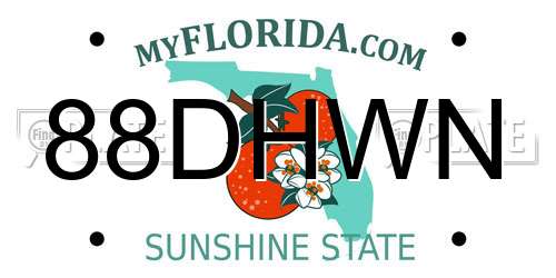 88DHWN Florida License Plate