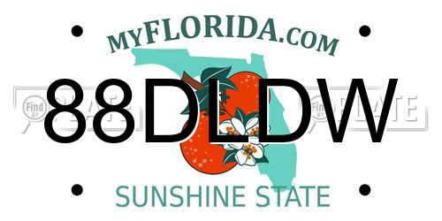 88DLDW Florida License Plate