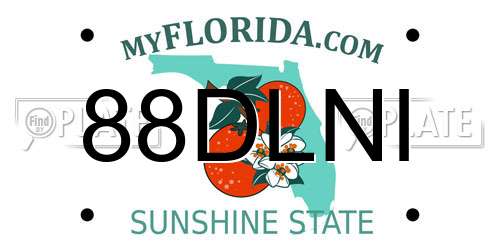 88DLNI Florida License Plate