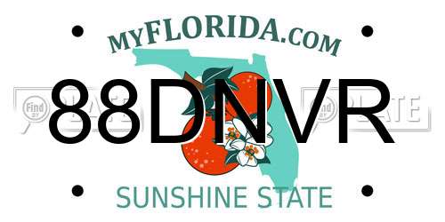88DNVR Florida License Plate