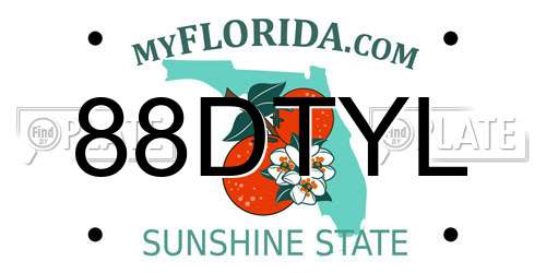 88DTYL Florida License Plate