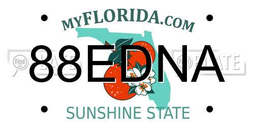 88EDNA Florida License Plate